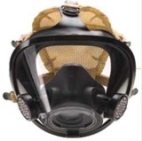 Full Facepiece Respirator > SureSeal System?